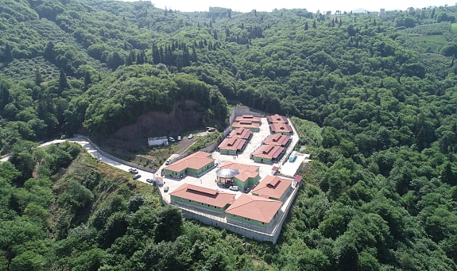 BÜYÜKŞEHİR SAHİPSİZ CANLARA ÖZEL İLGİ GÖSTERİYOR