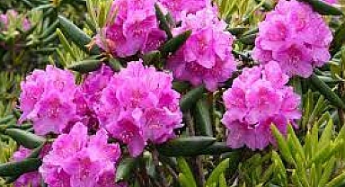 KTÜ'DEN ANLAMLI ÇALIŞTAY