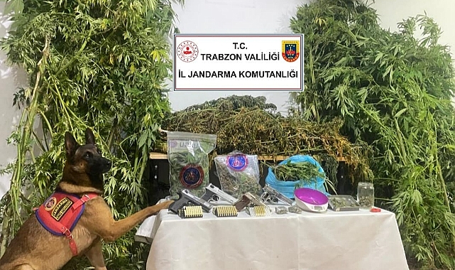 TRABZON'DA NARKOTİK OPERASYONU