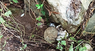 TRABZON'DA UYUŞTURUCU OPERASYONU