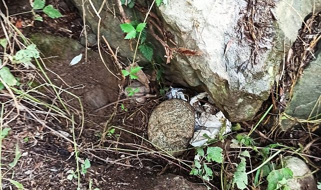 TRABZON'DA UYUŞTURUCU OPERASYONU