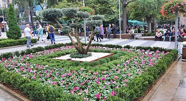 BÜYÜKŞEHİR TRABZON’U ÇİÇEKLERLE DONATIYOR