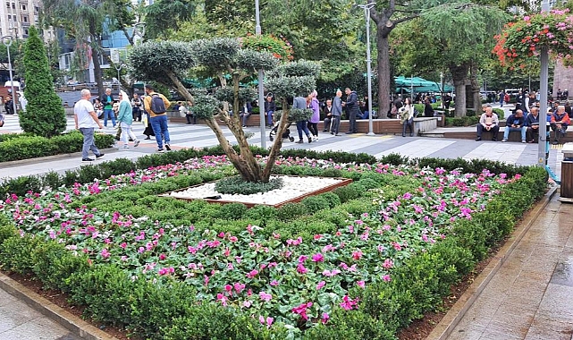 BÜYÜKŞEHİR TRABZON’U ÇİÇEKLERLE DONATIYOR