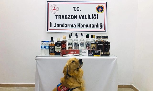 TRABZON JANDARMA 9 AYLIK OPERASYON SAYISI DUDAK UÇUKLATTI