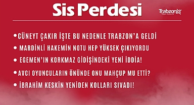 30.11.2022 SİS PERDESİ
