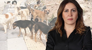 ÇOCUKLARIMIZ TRAVMA YAŞIYOR