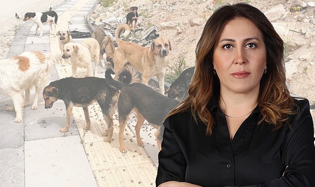 ÇOCUKLARIMIZ TRAVMA YAŞIYOR