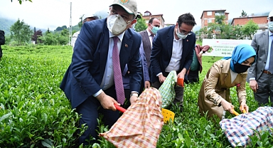 ORTAHİSAR BELEDİYESİ’NDEN TARIMSAL FAALİYETLERE BÜYÜK DESTEK