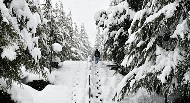 BİRÇOK İLDE OKULLAR TATİL EDİLDİ