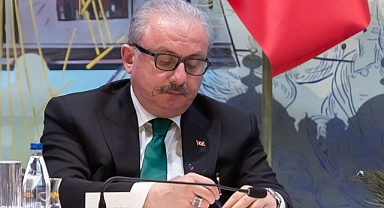 ŞENTOP:  'MİLLETİMİZİN YÜKSEK KATILIMLA SANDIĞA GİTMESİNİ TEMENNİ EDİYORUM'