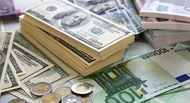 DOLARDA YENİ REKOR: 25 TL'Yİ DE GEÇTİ!