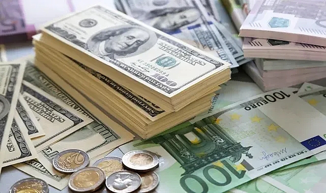 DOLARDA YENİ REKOR: 25 TL'Yİ DE GEÇTİ!