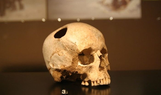 GÜMÜŞHANE'DE KAFATASI ŞOKU!