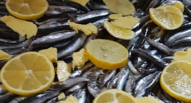 1 EYLÜL'DE DENİZLER İÇİN AV YASAĞI KALKIYOR...