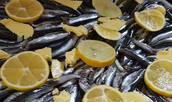 1 EYLÜL'DE DENİZLER İÇİN AV YASAĞI KALKIYOR...