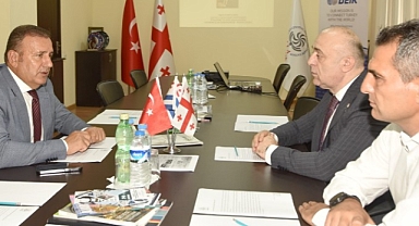 ÇELEBİ: TÜRK ŞİRKETLERİ GÜRCİSTAN'DAKİ YATIRIMLARINI ARTIRMALIDIR