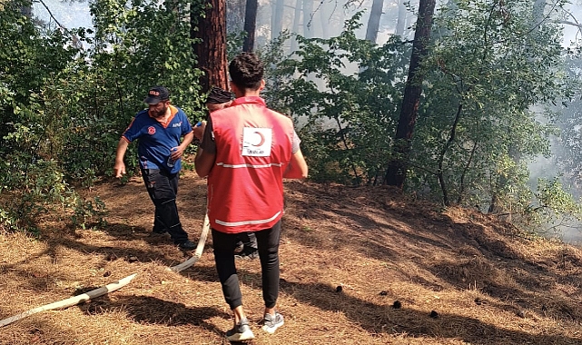 MUĞLA VE HATAY'DA ORMAN YANGINI