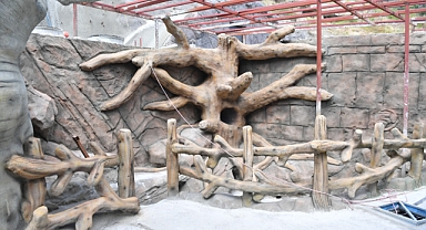 TRABZON’DA KUŞ PARKI’NDA SONA GELİNDİ