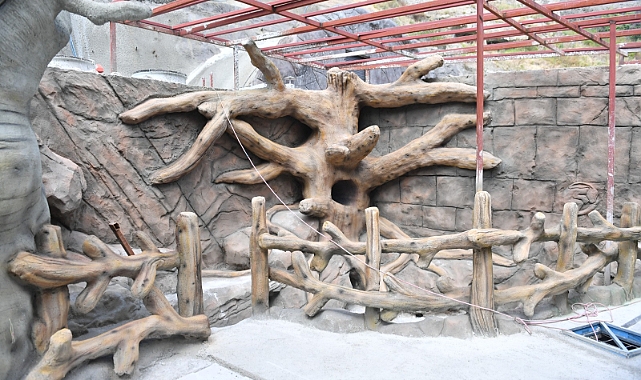 TRABZON’DA KUŞ PARKI’NDA SONA GELİNDİ