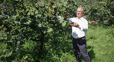 TTB BAŞKANI ERGAN'DAN TEPKİ ÇEKEN FINDIK FİYATI AÇIKLAMASI!