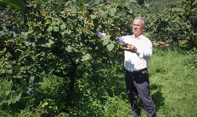 TTB BAŞKANI ERGAN'DAN TEPKİ ÇEKEN FINDIK FİYATI AÇIKLAMASI!