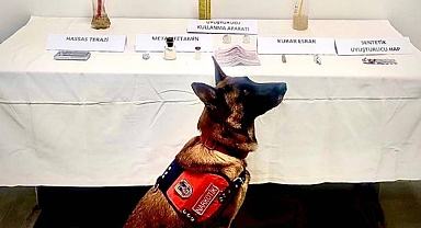 LİMON, TRABZON'DA UYUŞTURUCU KAÇAKÇILARINA ENGEL OLDU! 