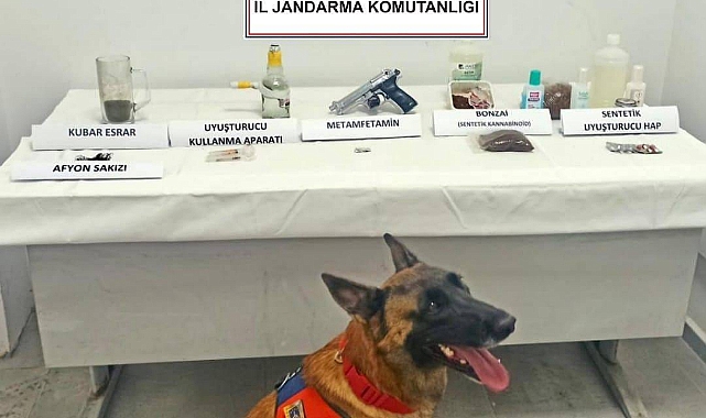 NARKOTİK KÖPEK LİMON'UN İLK SINAVI BAŞARILI GEÇTİ