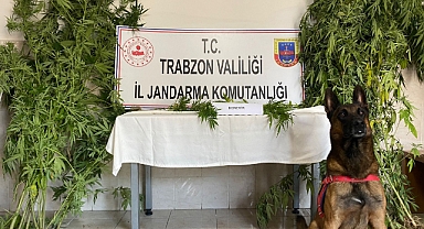 TRABZON'DA BİR EVE UYUŞTURUCU BASKINI!