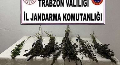 TRABZON'DA NARKOTİK OPERASYONU