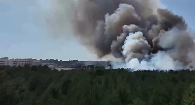 TÜRKİYE'DE 4 İLDE ORMAN YANGINI