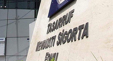 TMSF İKİ ŞİRKETİ SATIŞA ÇIKARDI
