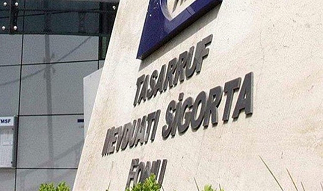 TMSF İKİ ŞİRKETİ SATIŞA ÇIKARDI