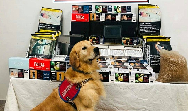 TRABZON'DA SİGARA OPERASYONU