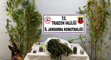 TRABZON'DA UYUŞTURUCU İLE MÜCADELE SÜRÜYOR