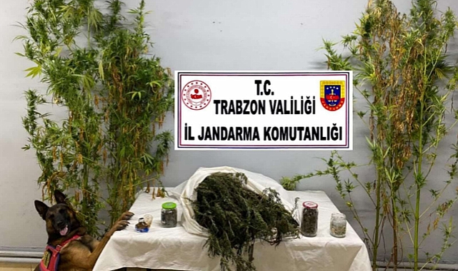 TRABZON'DA UYUŞTURUCU İLE MÜCADELE SÜRÜYOR