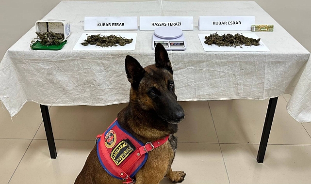 TRABZON'DA UYUŞTURUCU OPERASYONU