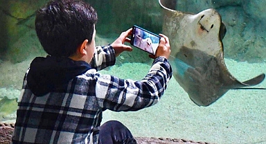 EĞİTİMCİLER, TRABZON AKVARYUM’DAN İNDİRİMLİ YARARLANACAK