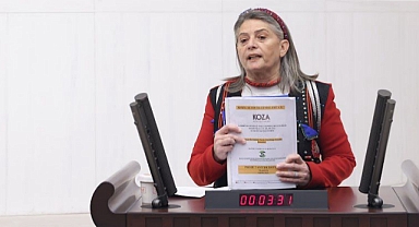 SUİÇMEZ: “DÜZKÖY  VE ARAKLI'DA YAŞANACAK BİR DOĞA KATLİAMINA ASLA İZİN VERMEYİZ!”