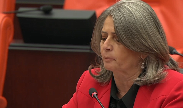 SUİÇMEZ: “TÜRKİYE YÜZYILINI HEDEF ALMAK" DİYE BİR SUÇ VAR ARTIK!