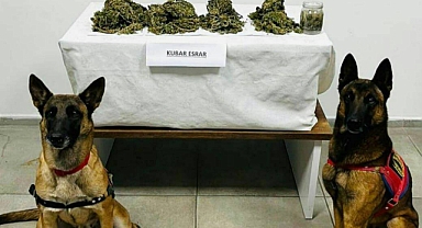 LİMON VE DUMAN'DAN UYUŞTURUCU OPERASYONU!