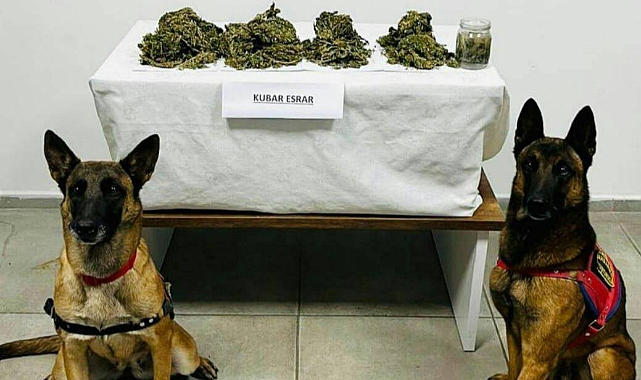 LİMON VE DUMAN'DAN UYUŞTURUCU OPERASYONU!