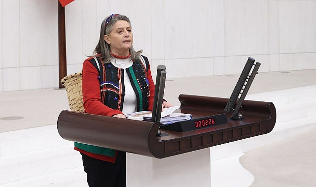 SUİÇMEZ; “DALGAKIRAN OLARAK YAPILAN DUVAR NEDEN SÖKÜLMÜŞTÜR?