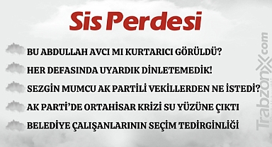 31.01.2023 SİS PERDESİ