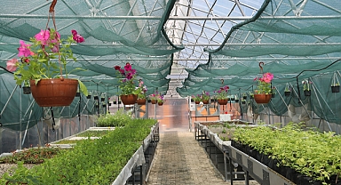 AKÇAABAT'TA TÜKETTİĞİNİ ÜRETEN BİR BELEDİYE