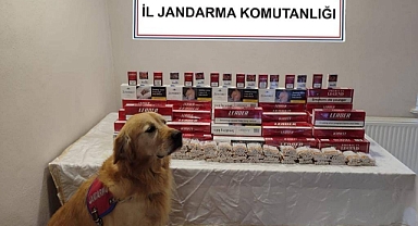 TRABZON'DA KAÇAK SİGARA BASKINI! 