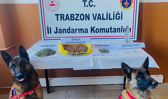 TRABZON'DA NARKOTİK TİMLERİNDEN OPERASYON! 1 ŞÜPHELİ GÖZALTINDA