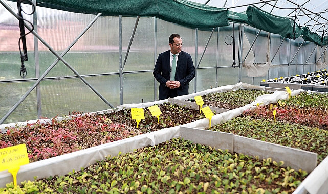 EKİM: TARIMSAL ÜRETİM OLMADAN KALKINMA OLMAZ