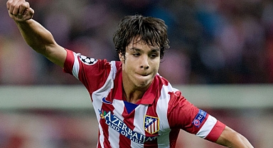 MERKEZ ORTA SAHA İÇİN PAPATYA FALI!