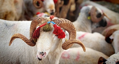 2024 KURBAN KESİM BEDELİ BELİRLENDİ