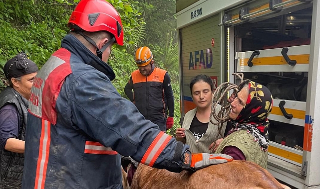 BÜYÜKŞEHİR EKİPLERİNDEN KURTARMA OPERASYONU